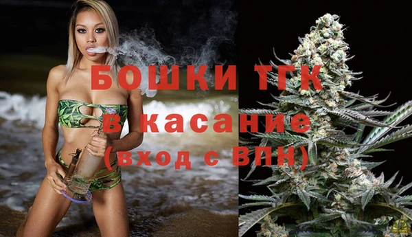 гидра Верея