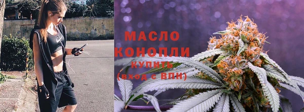 гидра Верея